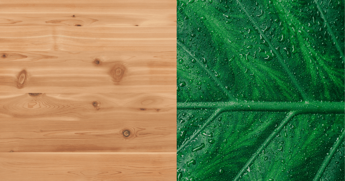 Knotty Pine and Green