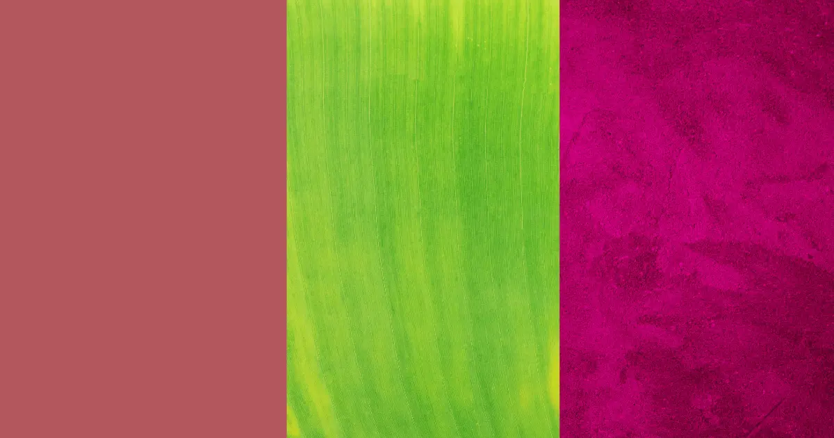 Rouge, Green, And Magenta